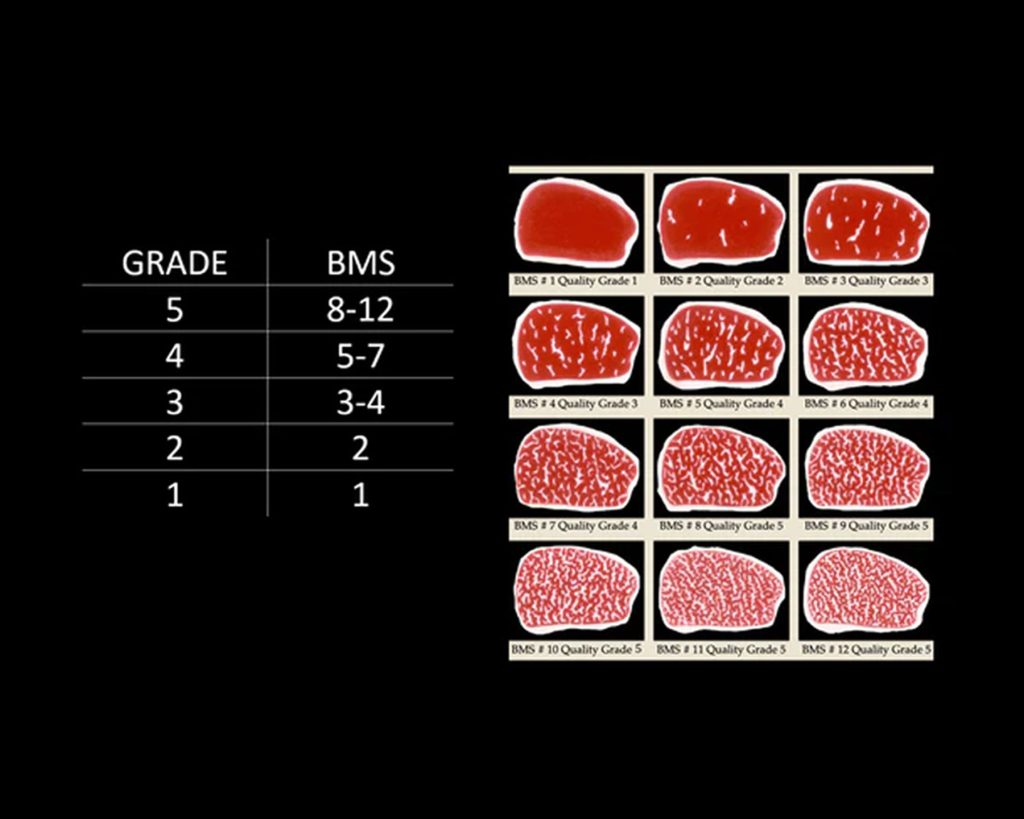 japanese wagyu